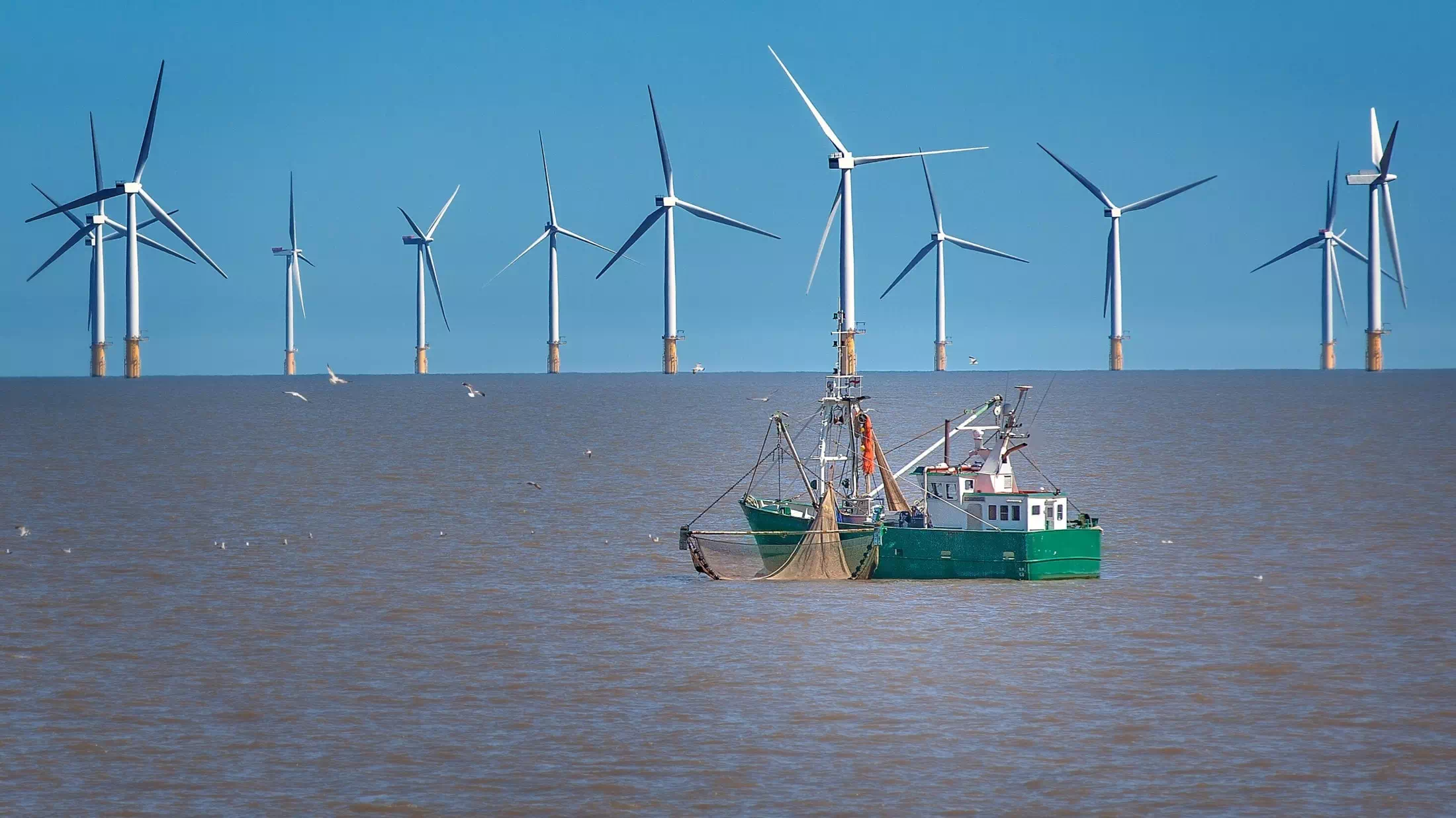 Trump kritisiert Windräder in der Nordsee