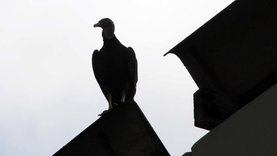 Mayer Glastechnik: Insolvenz und Sanierungsplan