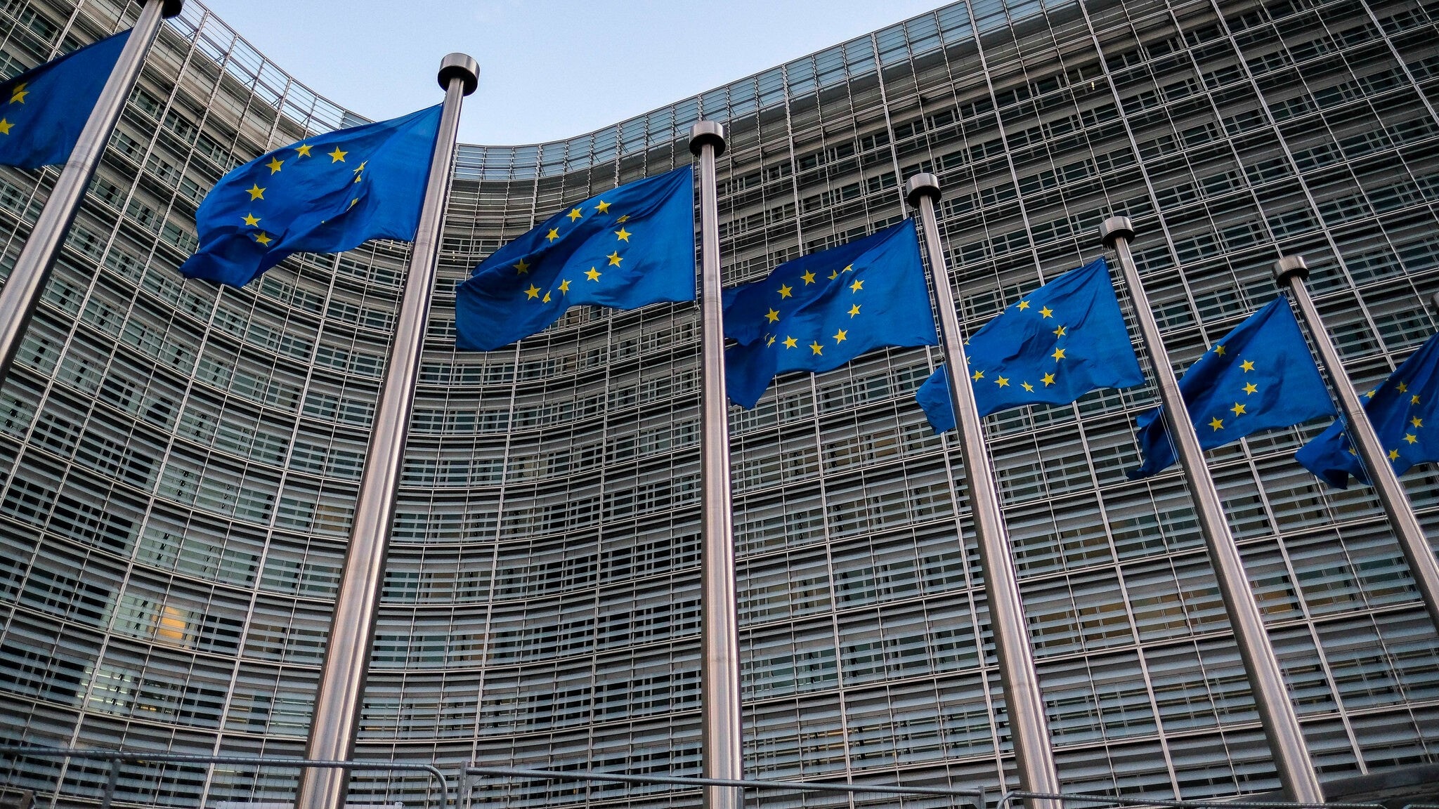 „EU plant Chip-Pflicht für Haustiere“