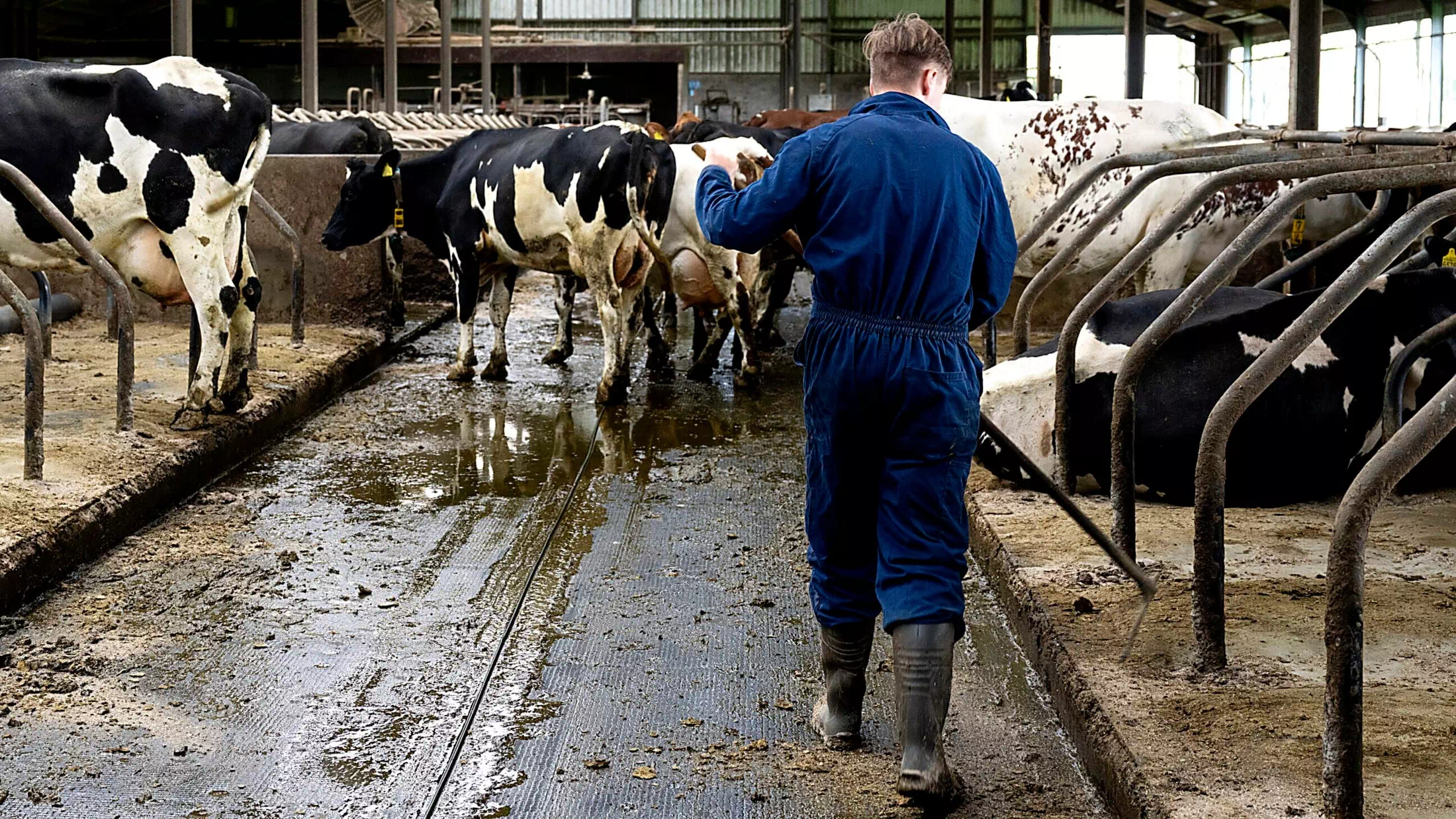Klimaschutz-Sieg: Strengere Auflagen für Bauern!