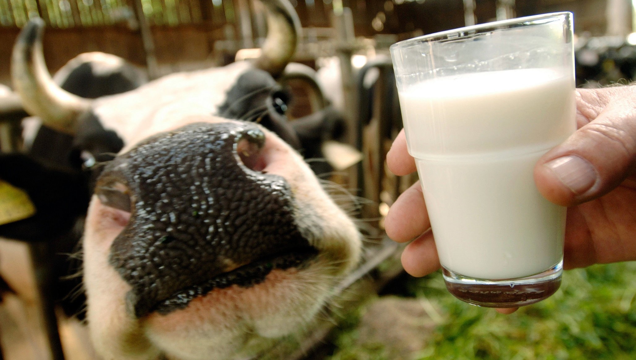 „Berglandmilch übernimmt Obersteirische Molkerei“