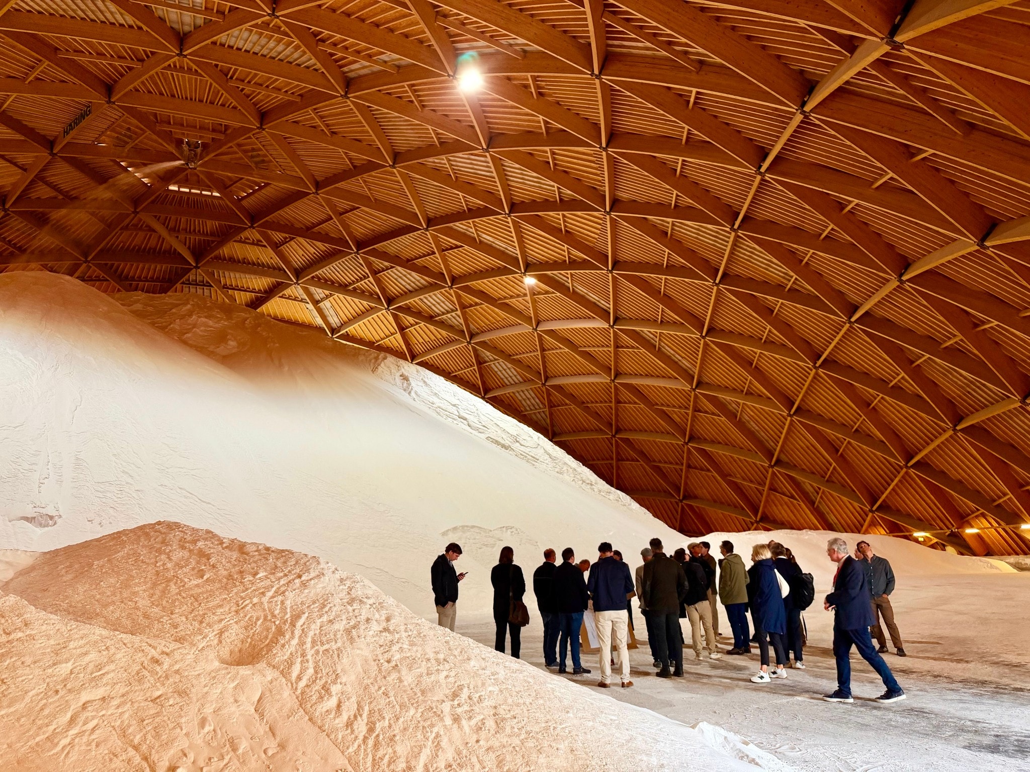 Zukunftsweisende Holz-Hybridbau-Projekte in der Schweiz