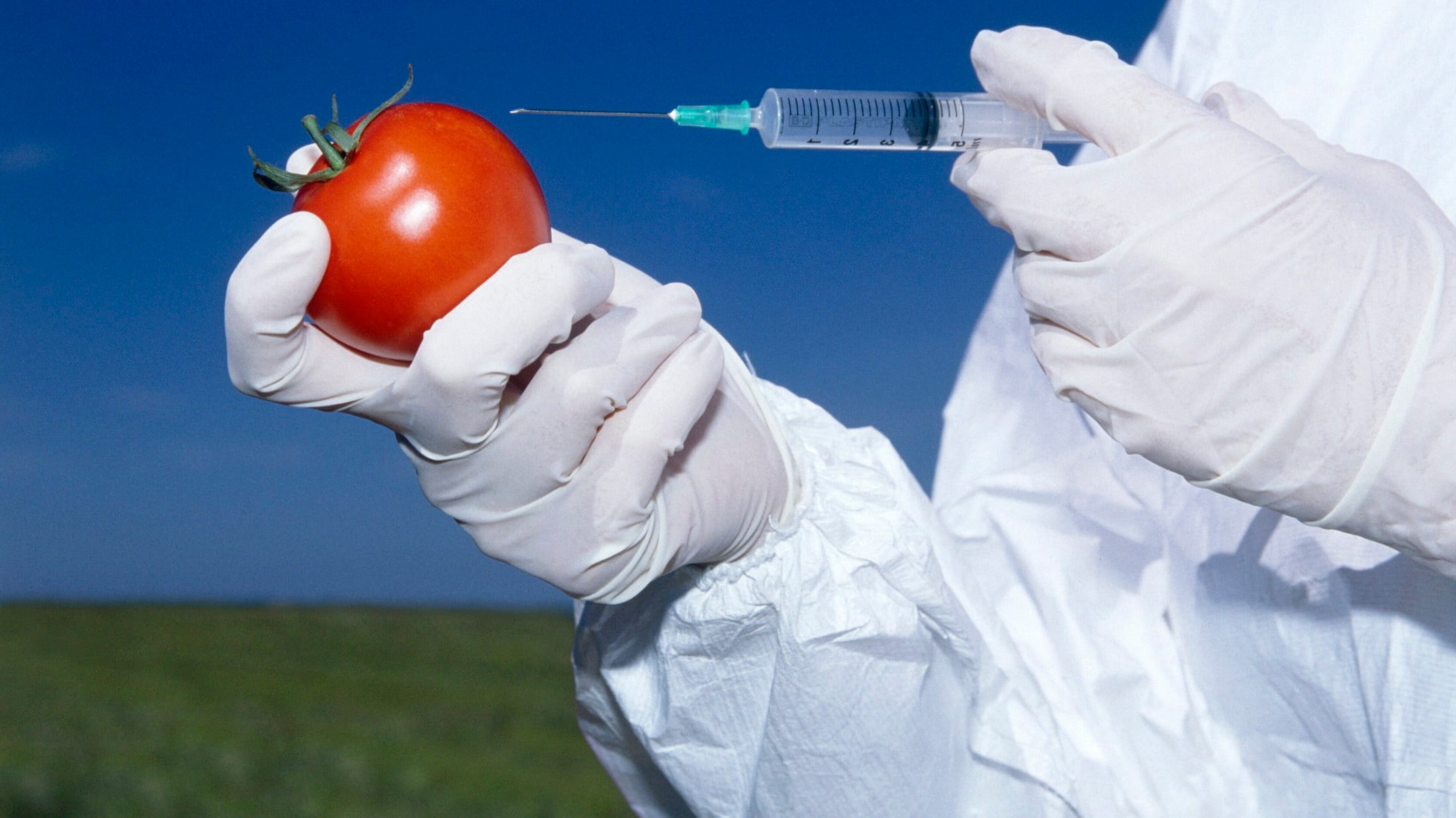 EU lockert Regeln für genveränderte Lebensmittel