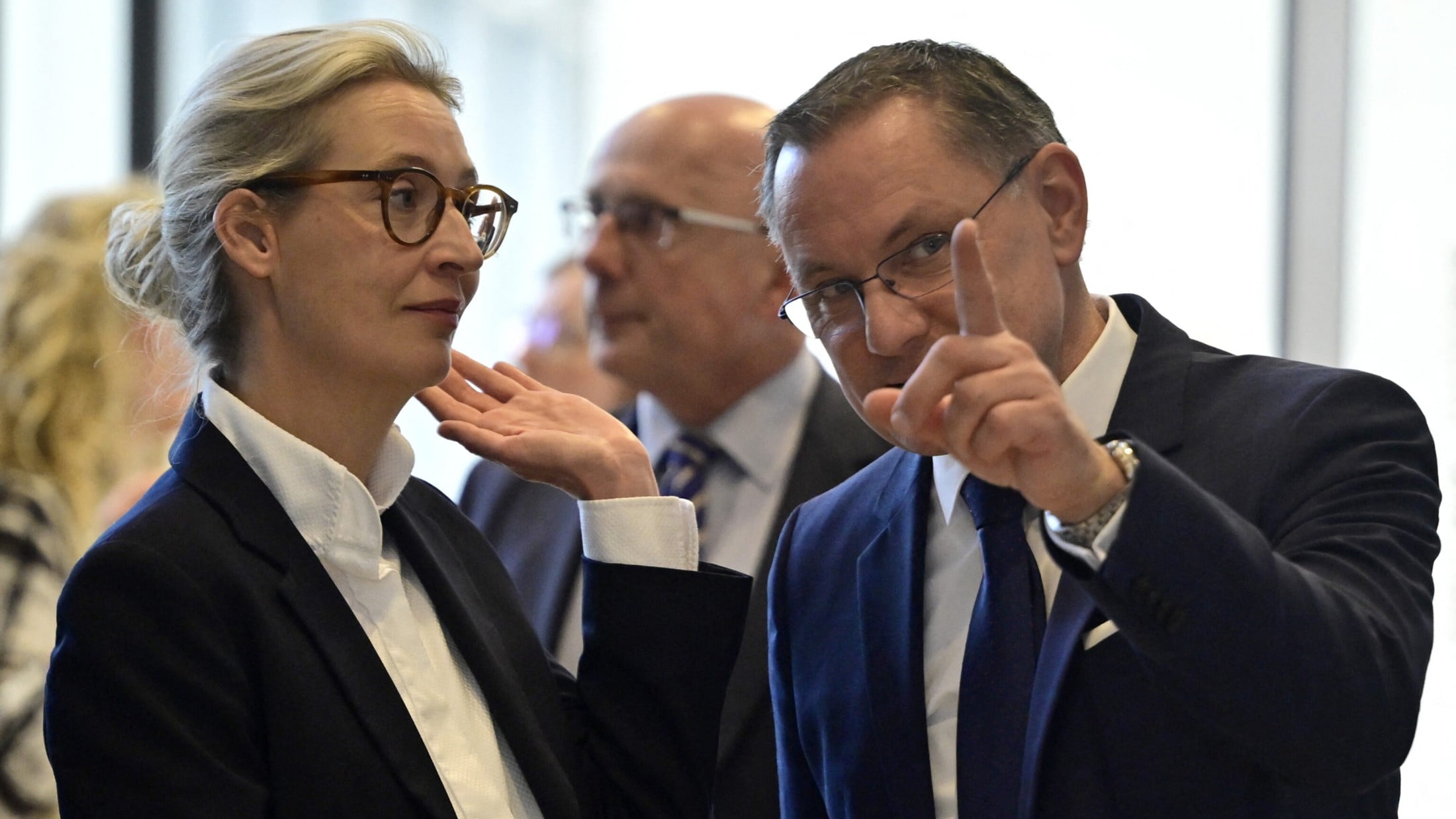 AfD plant Treffen mit Putins Wirtschaftsberater