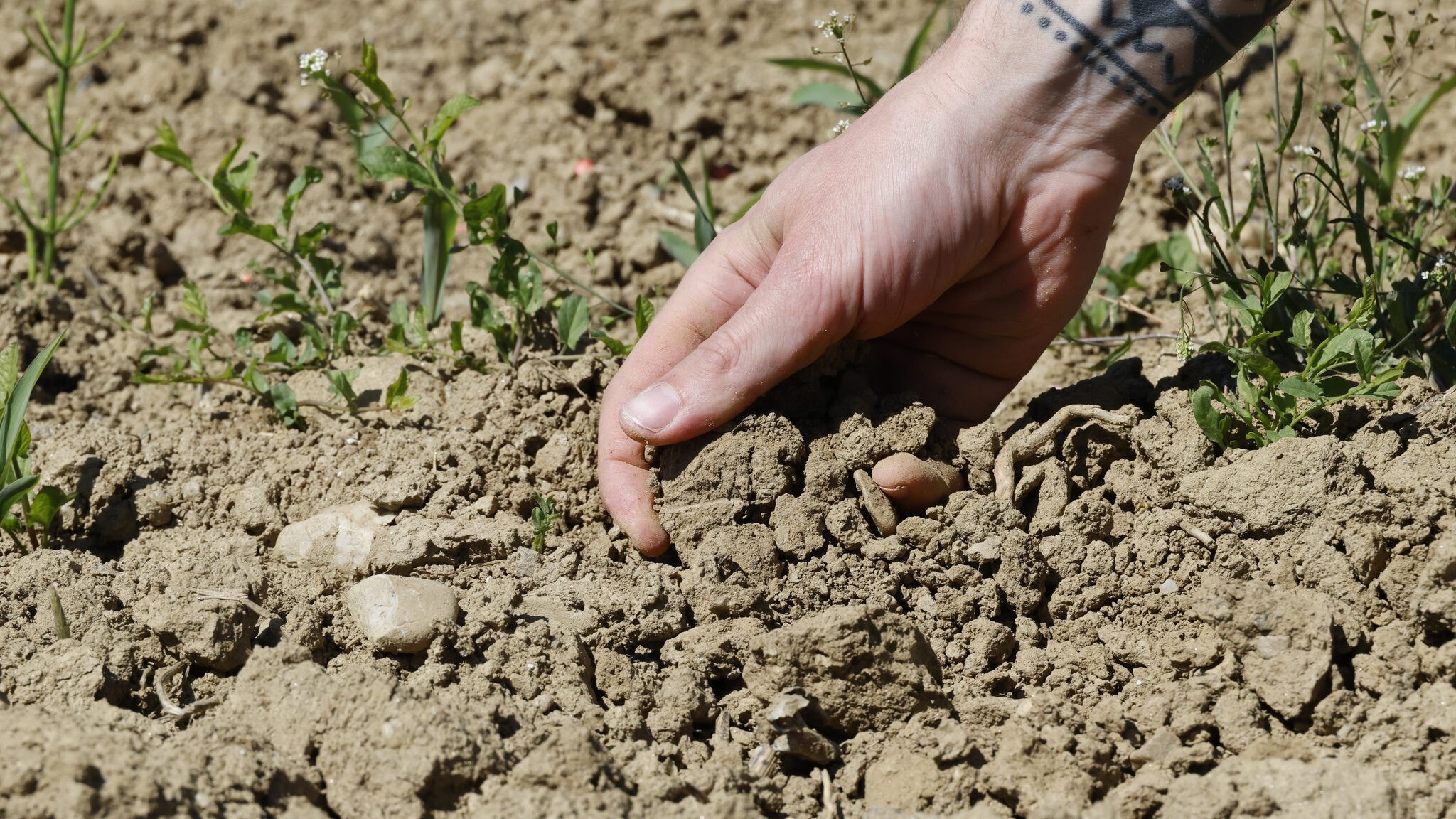 „Steigende Prämien für Landwirte wegen Extremwetter“