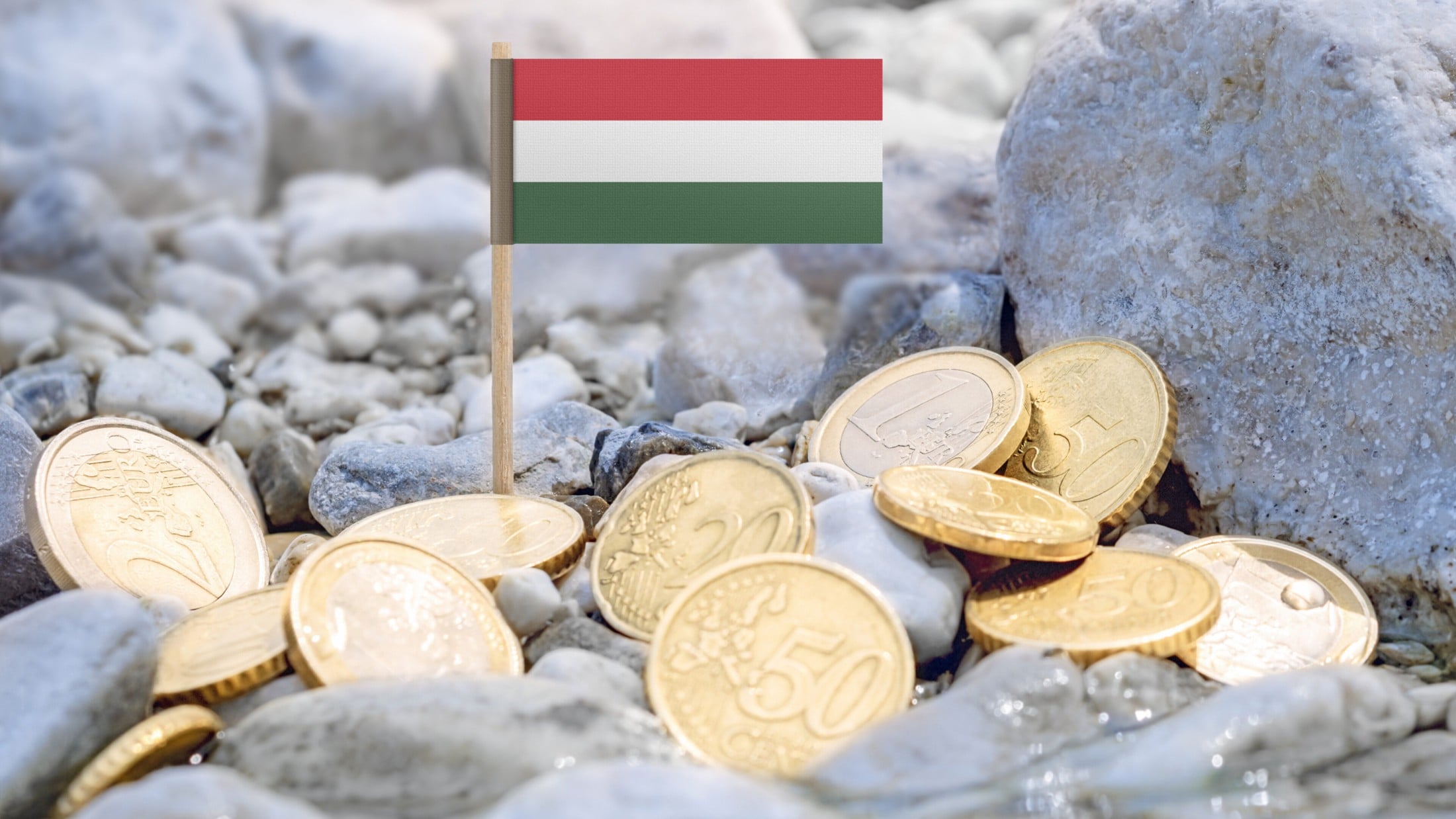 „Euro-Umstellung: Magyar steht vor Herausforderungen“
