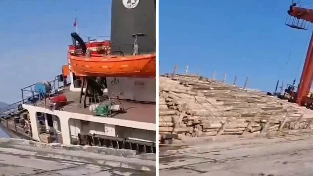 Frachterschiff kippt: Tausende Baumstämme im Meer
