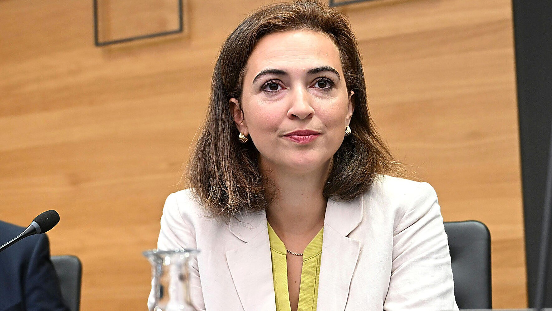 Zadić: Keine Hinweise auf politischen Einfluss