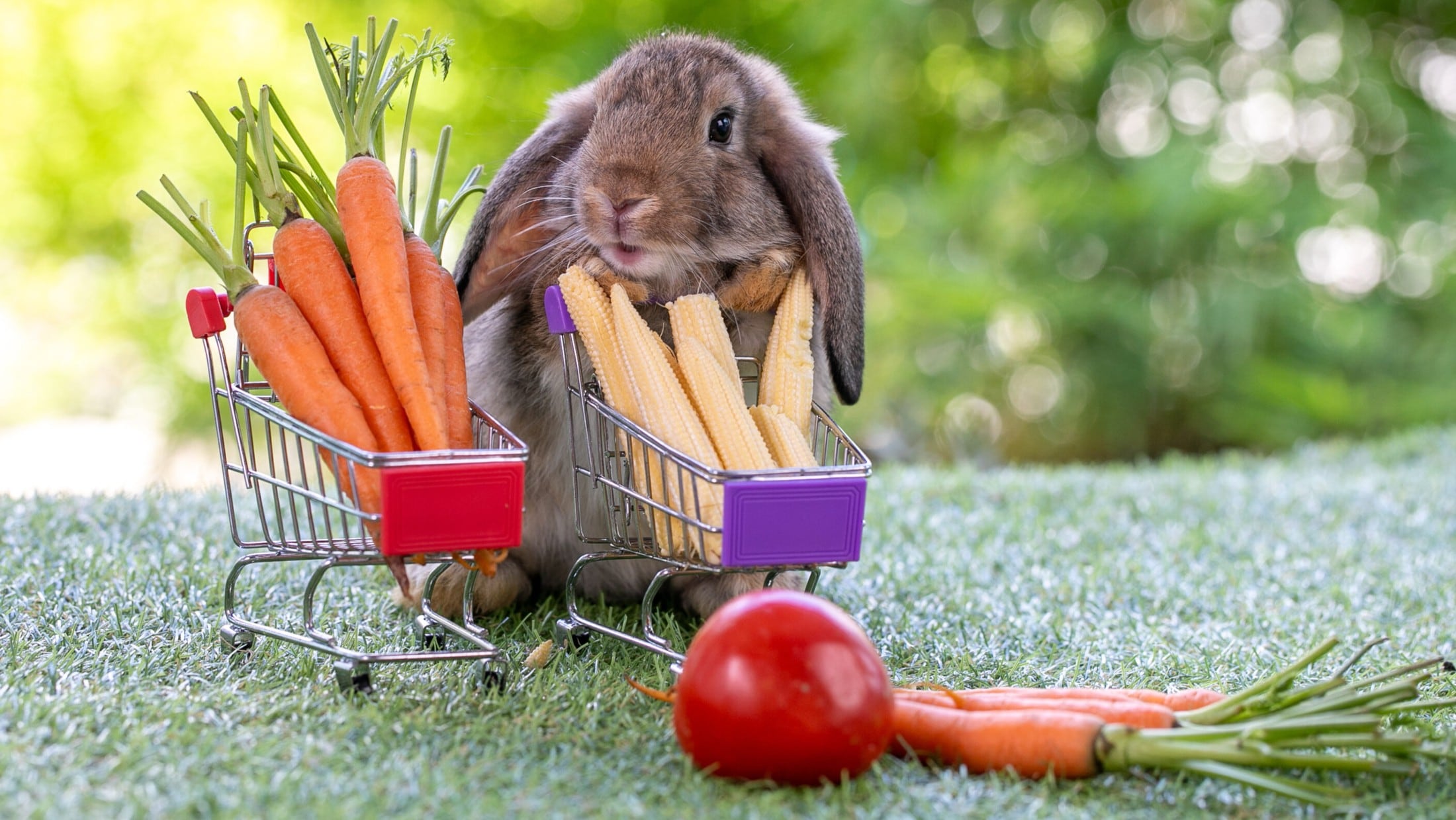 „Über Feiertage: Bäckereien und Läden offen!“