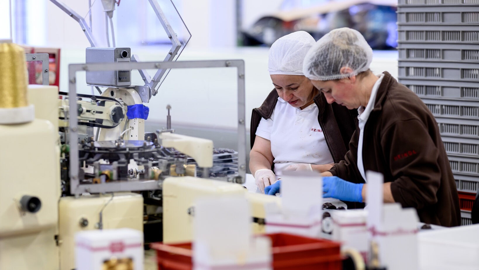 Österreichs Wirtschaft: Prognose für 2026-2027 positiv